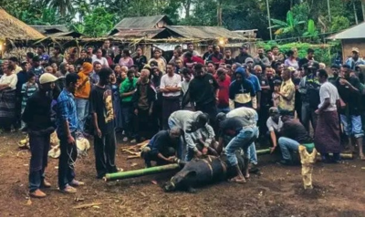 RITUAL ADAT BELO E’WA DESA KOKOTOBO